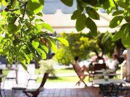 JARDINES