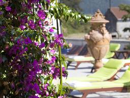 JARDINES
