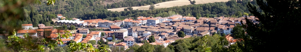 Hotel La Fuente