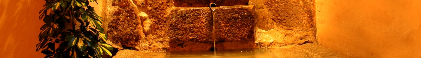 Hotel La Fuente